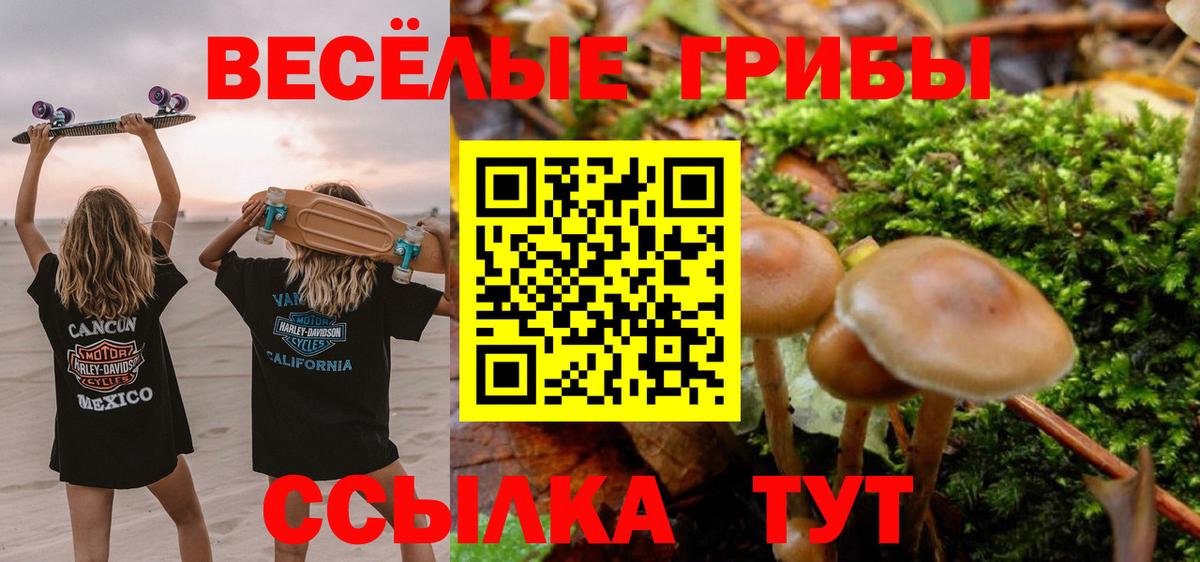 Галлюциногенные грибы прущие грибы  Вход с VPN  Томск 